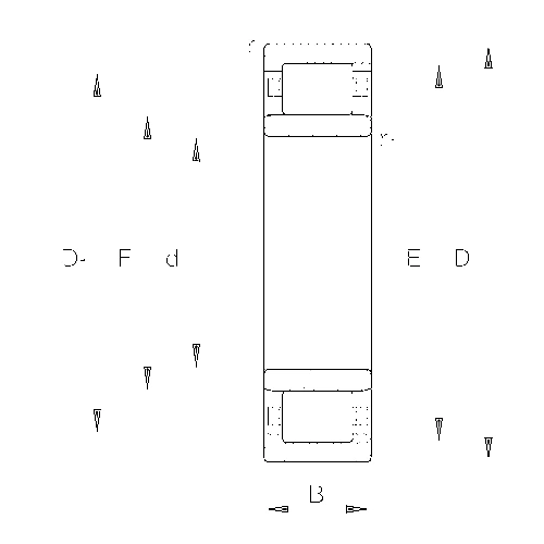 NU209-E-XL-TVP2 NU209-E-XL-TVP2